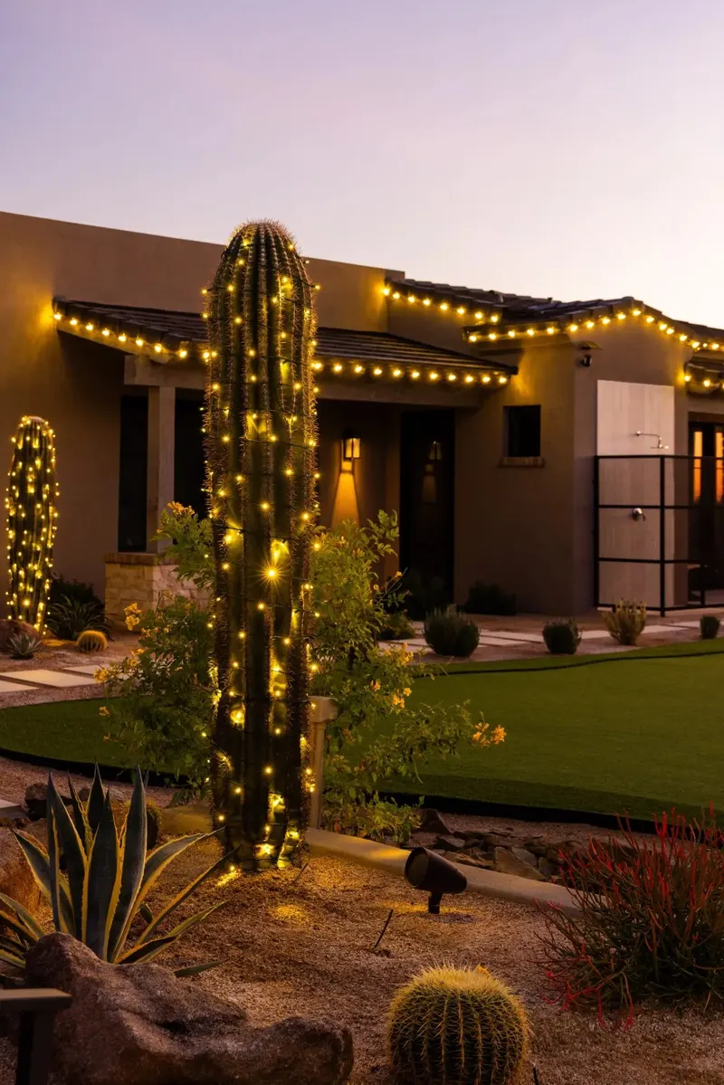 Brite Nites | Holiday & Outdoor Lighting, Landscape Lighting Designer in #923