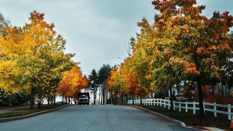 Pinnacle Properties, Landscape Designer in South Burlington