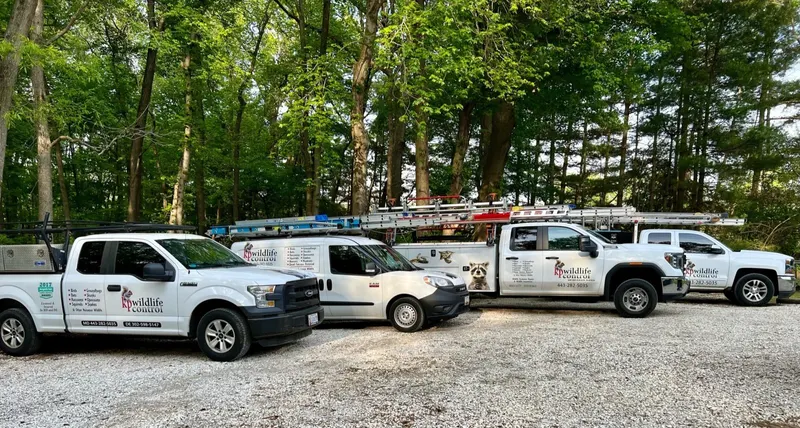 K.P. Wildlife Control and Repairs LLC, Animal Control Service in Annapolis