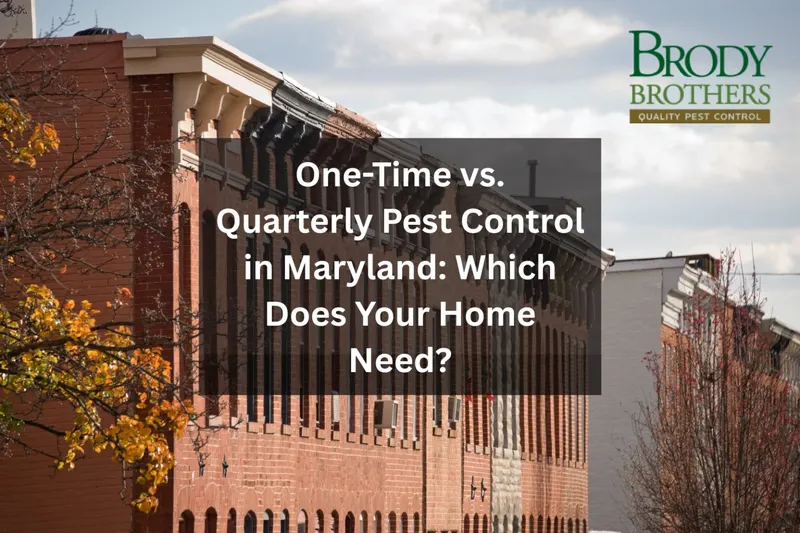 Brody Brothers Pest Control in Rockville