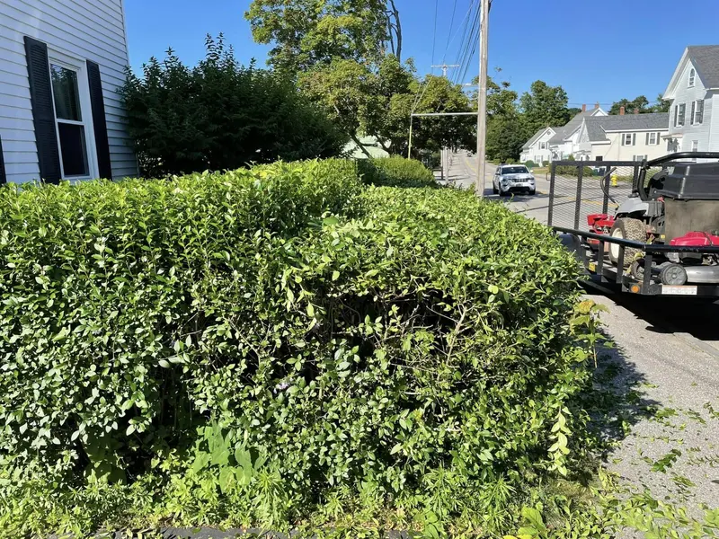 Dad’s yahd care, Lawn Care Service in Saco