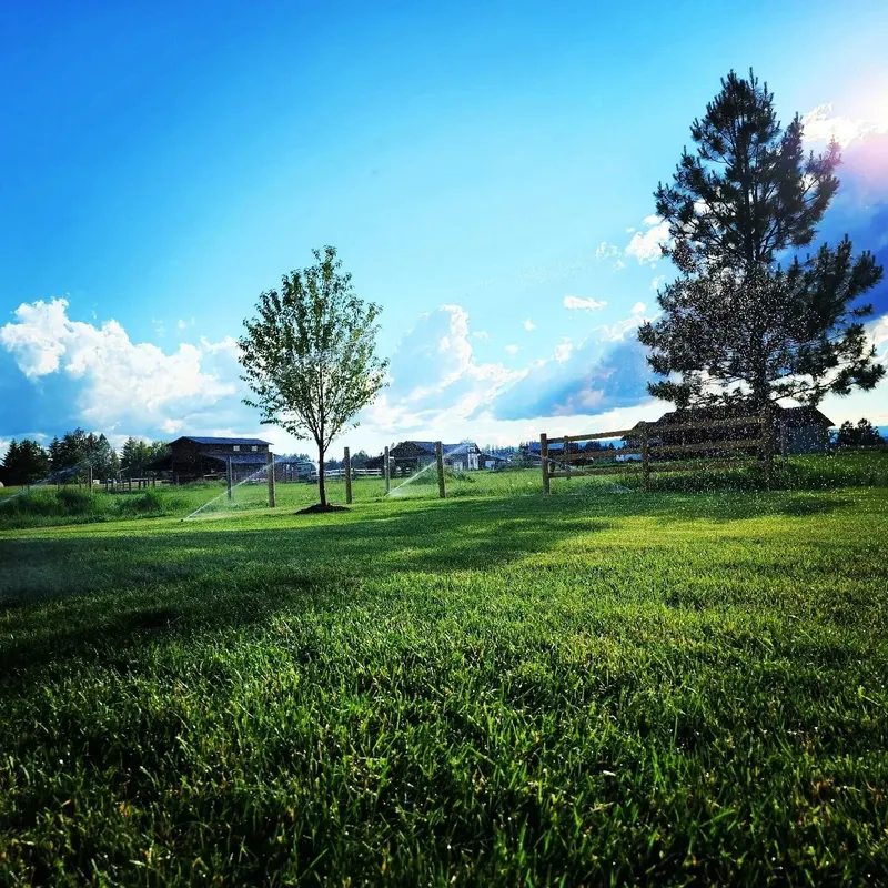 Columbia View Landscape & Irrigation LLC, Lawn Sprinkler System Contractor in Columbia Falls