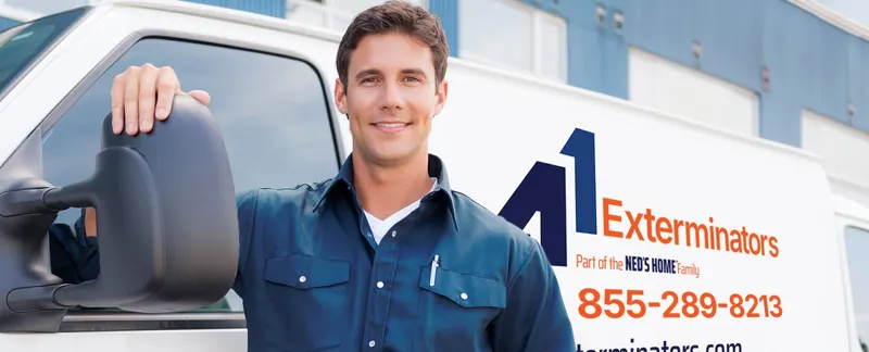 A1 Exterminators, pest control service in Nashua
