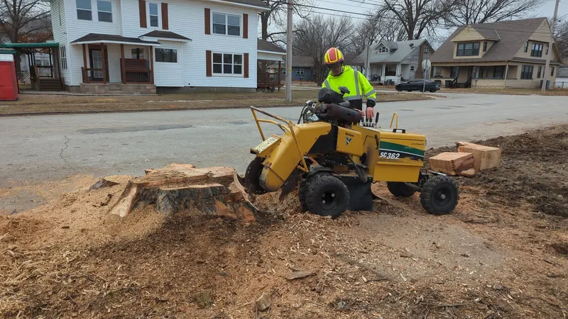 Veld Bros Lawn Care & Stump Removal, Lawn Care Service in Bartlesville