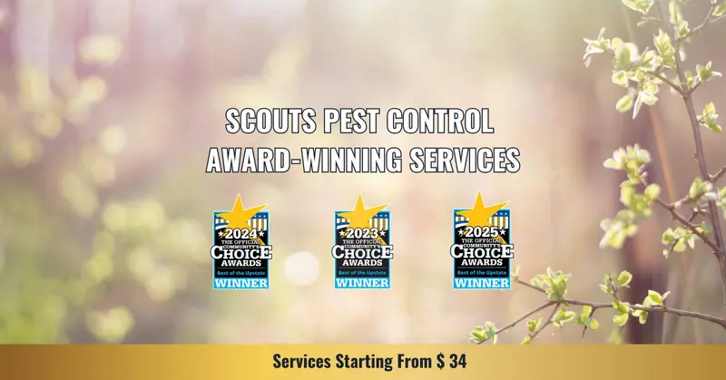 Scout's Pest Control, pest control service in Greenville