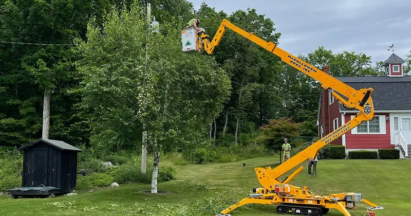 McCullough Brothers Inc, Tree Service in Rutland
