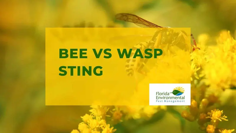 Florida Environmental Pest Management, pest control service in West Palm Beach