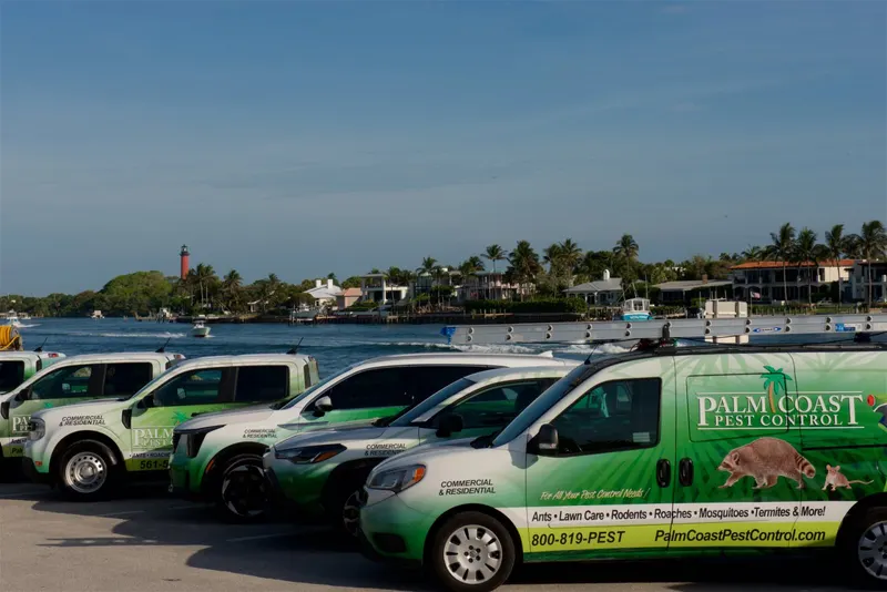 Palm Coast Pest Control