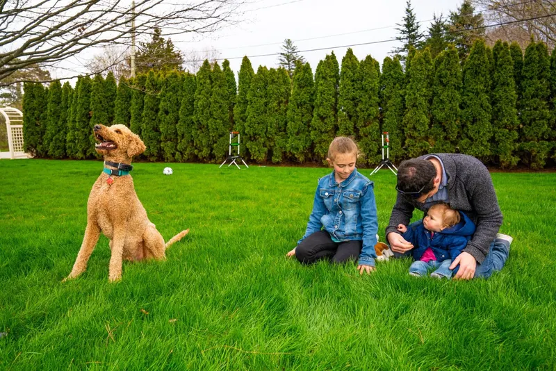 Seacoast Turf Care, Lawn Care Service in North Hampton