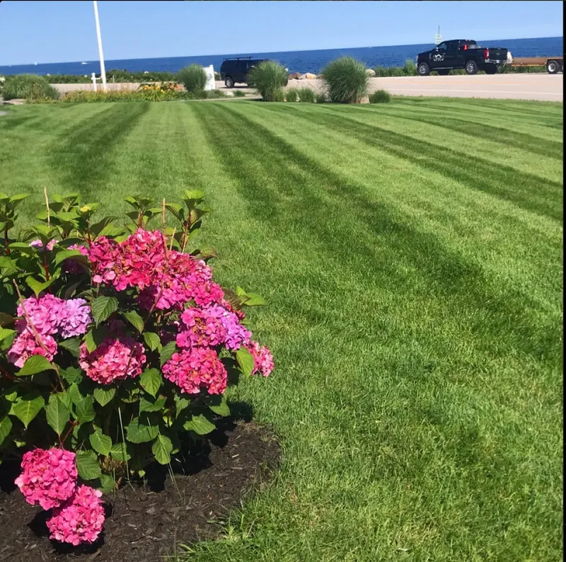 FJC Landscaping & Excavation, Landscaper in Rye