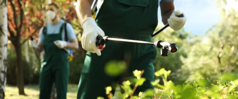GoSafe Pest Control LLC, pest control service in Glen Oaks