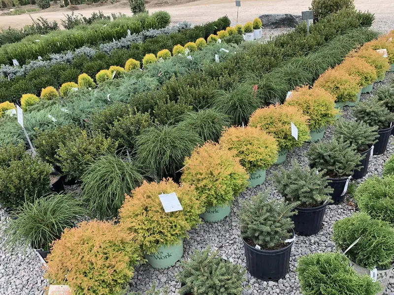 Elliott's Garden Center
