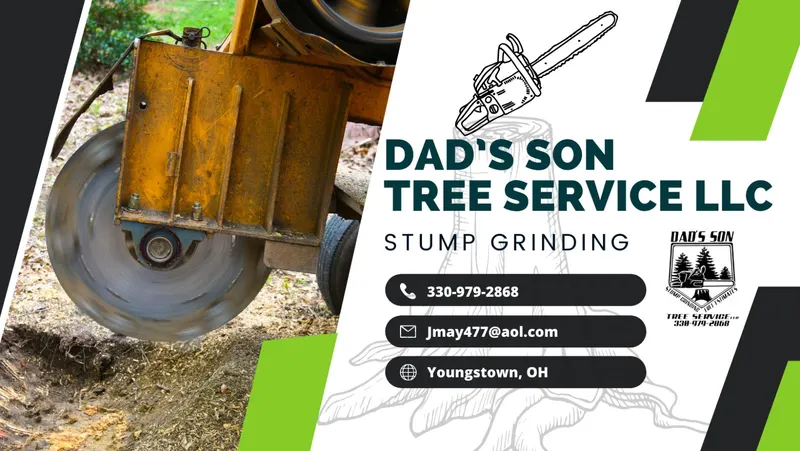 Dad's Son Tree Service LLC, Tree Service in Youngstown