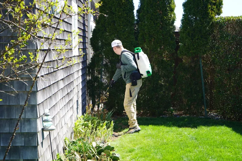 Debug Pest Control - Rhode Island, pest control service in Smithfield
