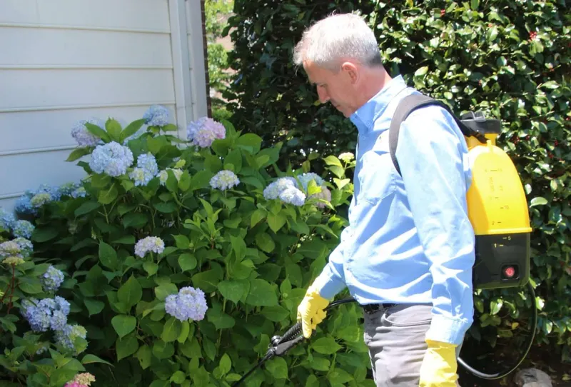 Better Termite & Pest Control