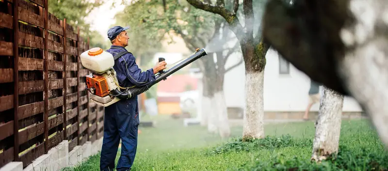 Mid-Atlantic Pest Control, pest control service in Lakewood