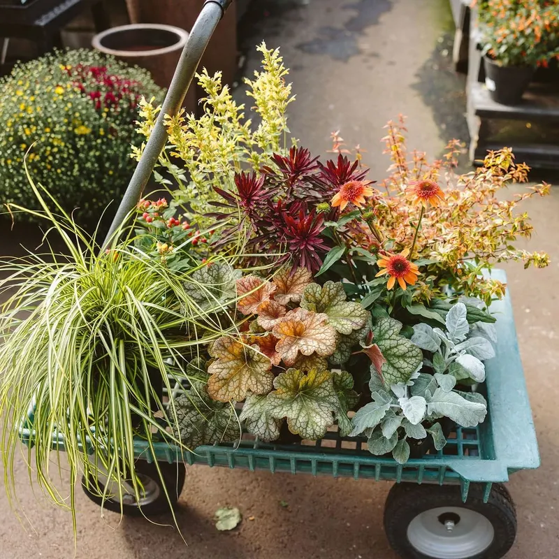 Drake's 7 Dees Landscaping and Garden Center, Landscape Designer in Portland