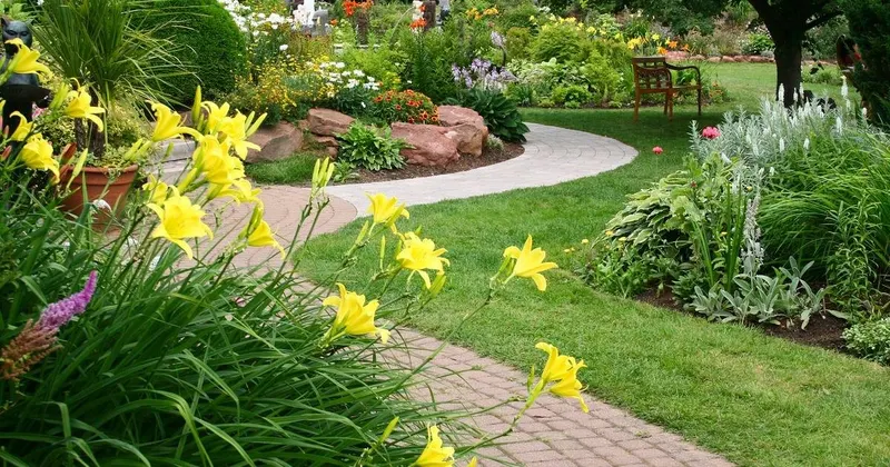 Anderson Landscape & Tree Service, Tree Service in Milwaukie
