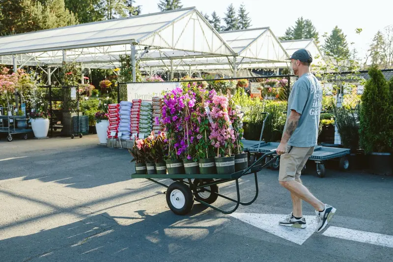 Dennis' 7 Dees Garden Center, Garden Center in Lake Oswego
