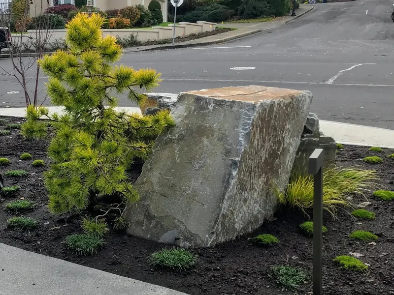 Ross NW Watergardens