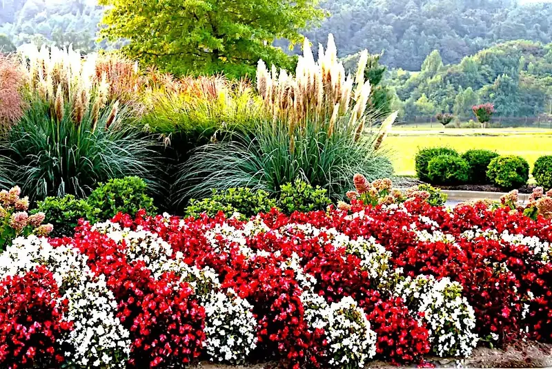 Uncommon Grounds, LLC, Lawn Care Service in Cookeville