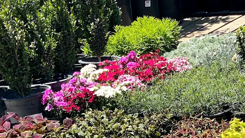 The Garden, Garden Center in Bessemer