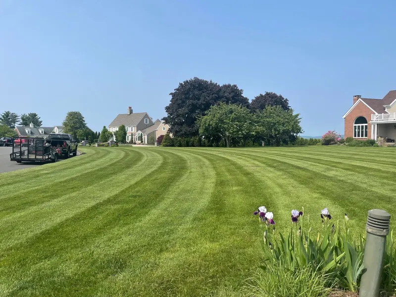 Wallingford Lawn Care LLC