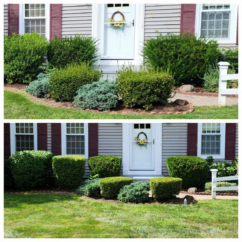 Limitless Realty Services LLC, Landscaper in Meriden