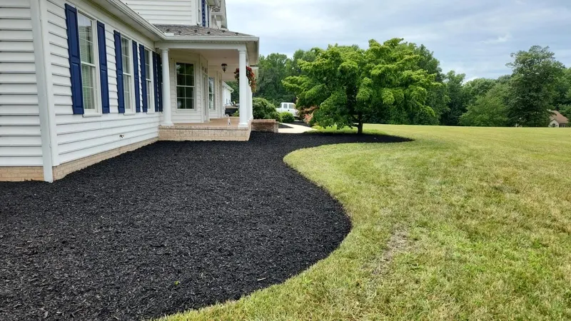 Pro Lawn Cuts LLC