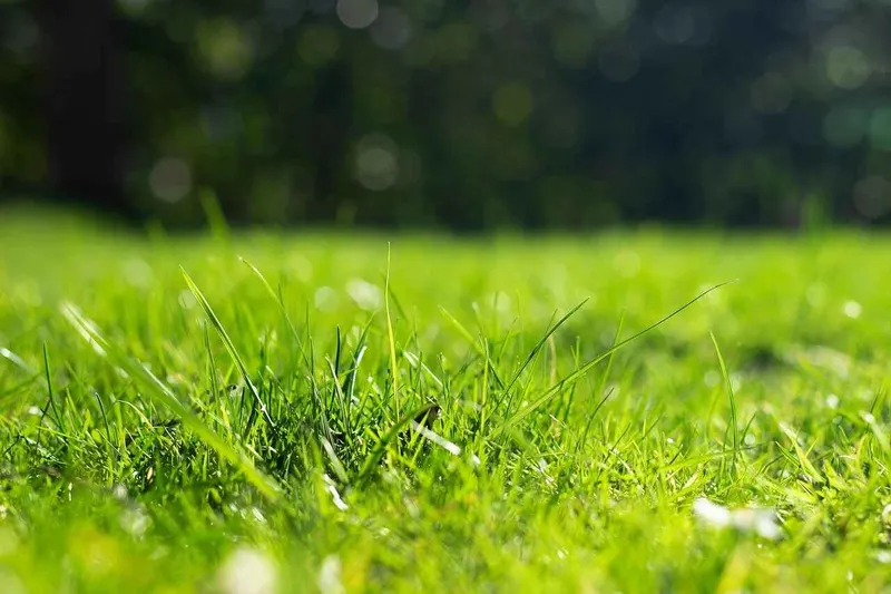 Dowd Irrigation, Lawn Sprinkler System Contractor in Morristown