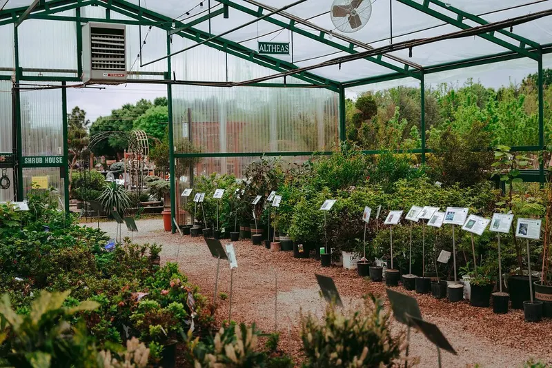 Marcum's Nursery, Garden Center in Ardmore