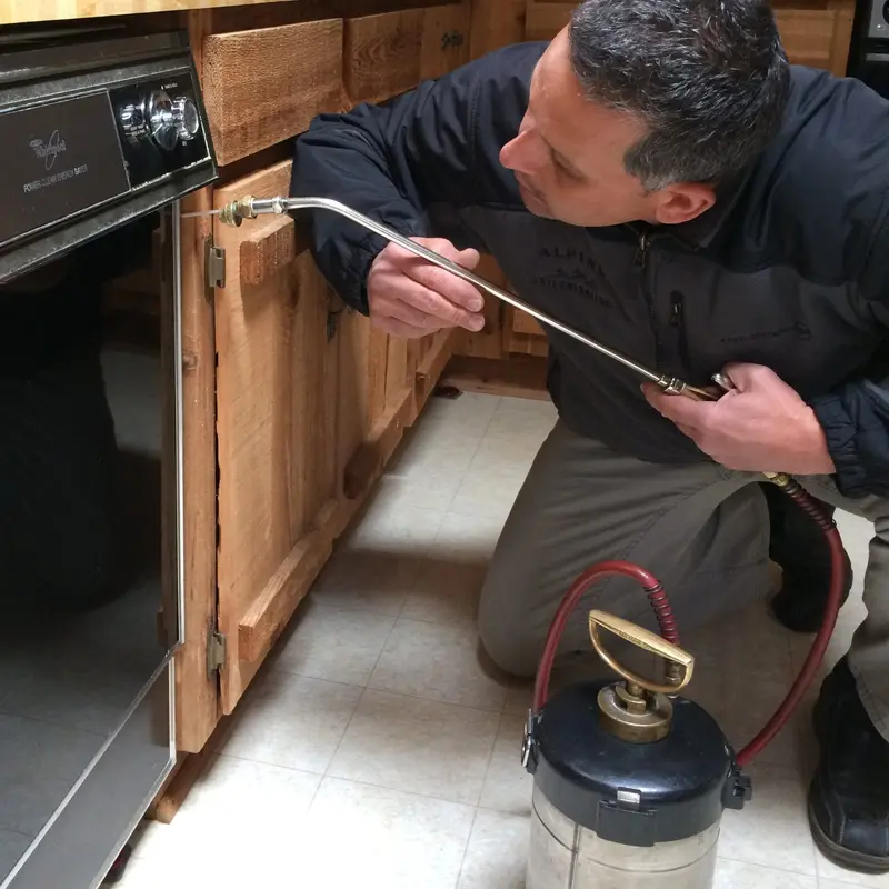 Alpine Exterminating, pest control service in Hiawassee