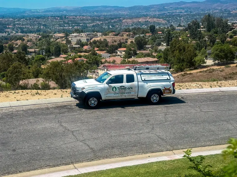 Treebark Termite and Pest Control, pest control service in Anaheim