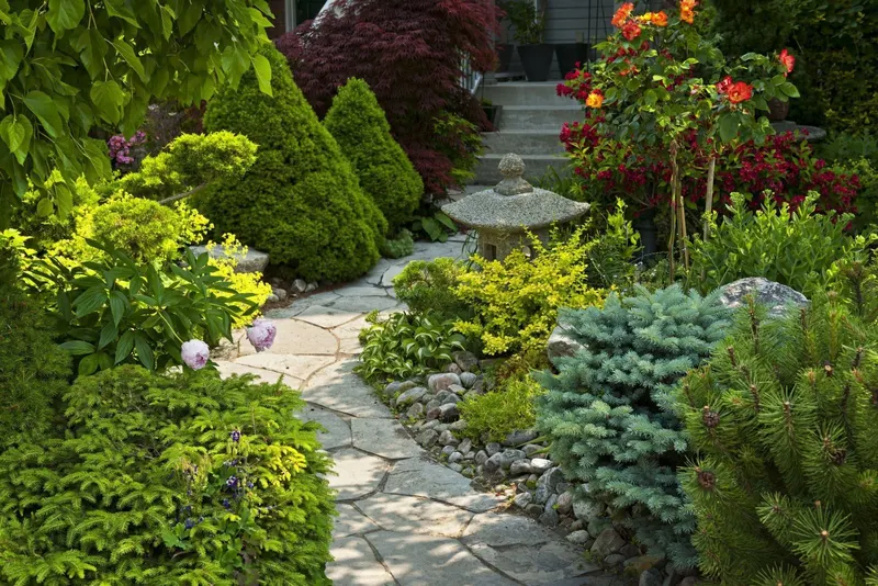 Ward's Lawn Service, Landscaper in Longmont