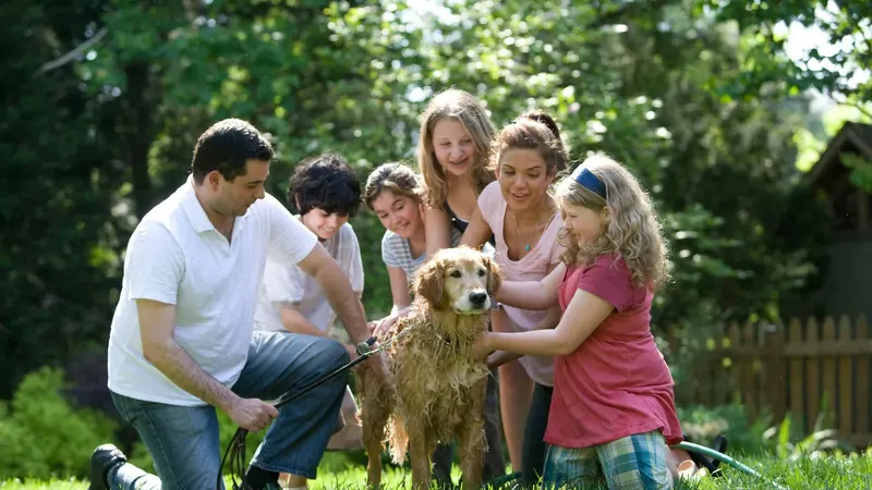 Terminate Termite & Pest Control Inc., pest control service in Boca Raton