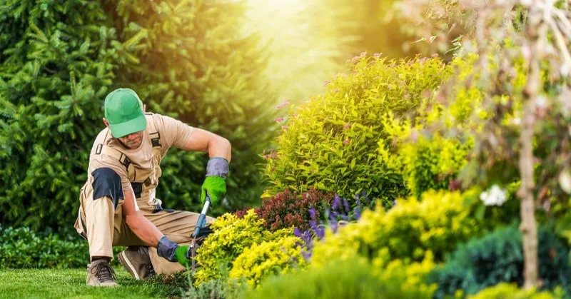 Creech Landscape, Landscaper in Alpharetta