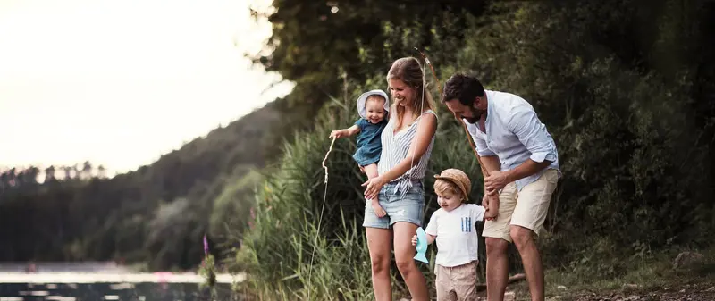 VDCI Mosquito Management, Environmental Consultant in Brookhaven