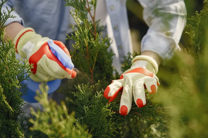 Mack Lawn Services, Lawn Care Service in Greenwood