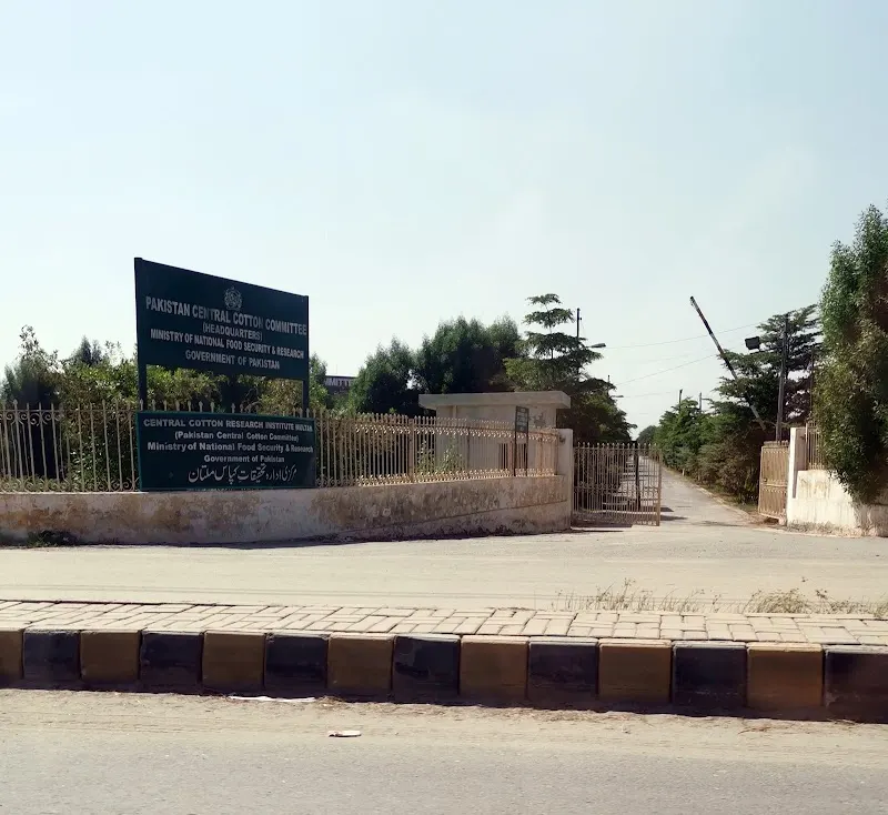 Central Cotton Research Institute Multan
