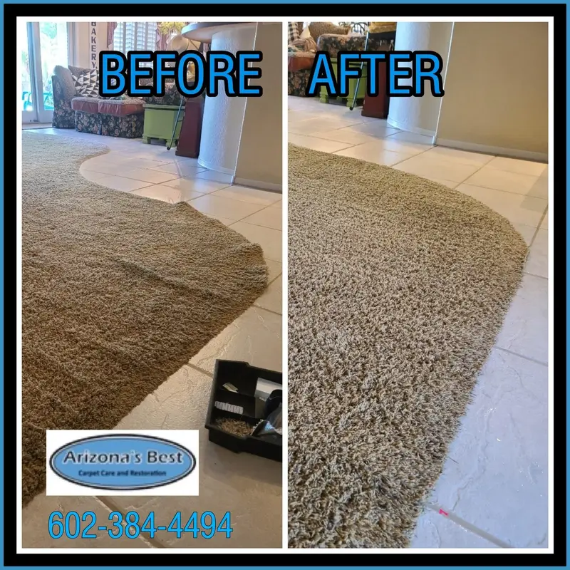 Arizona's Best Carpet Care and Restoration, Carpet Cleaning Service in Mesa