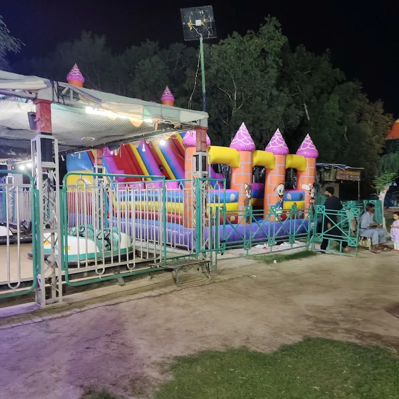 Fareed Joyland Vehari, Festival in Vehari